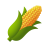 Zasiew kukurydzy